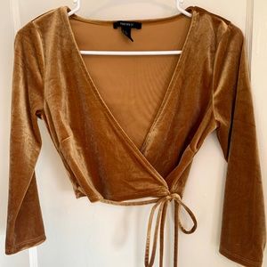 Crushed Velvet Forever 21 Crop Top